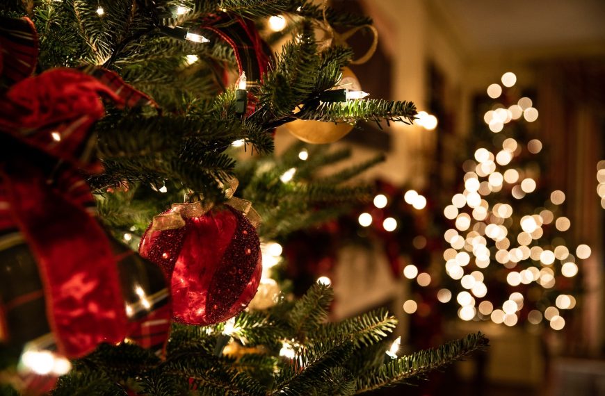 Holiday Tips: Part 2