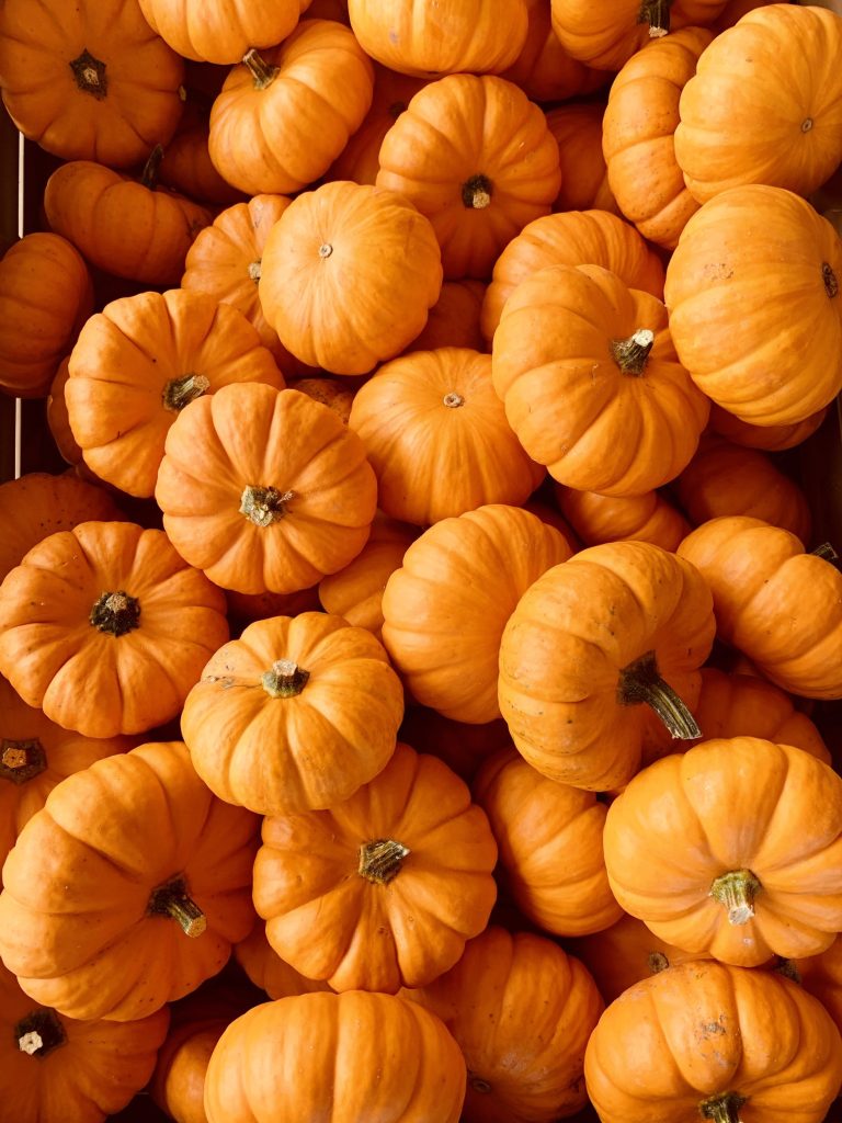 Pumpkin Spice Smoothie