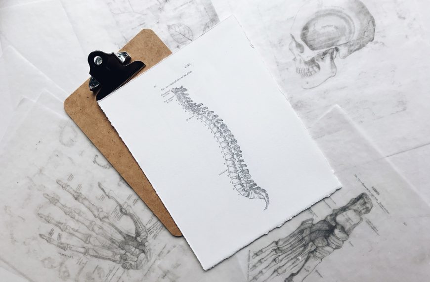 Anorexia and Cortisol: How they affect your Bones