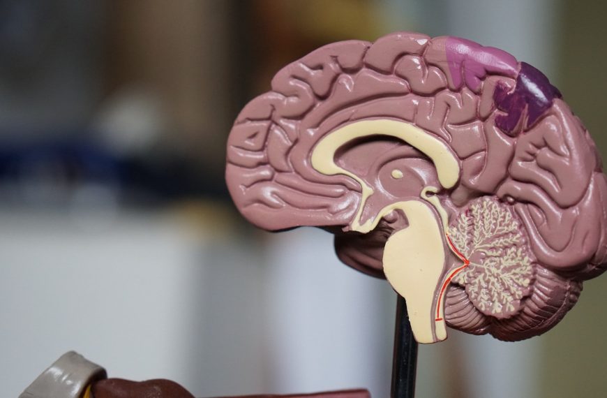 Leaky Brain?