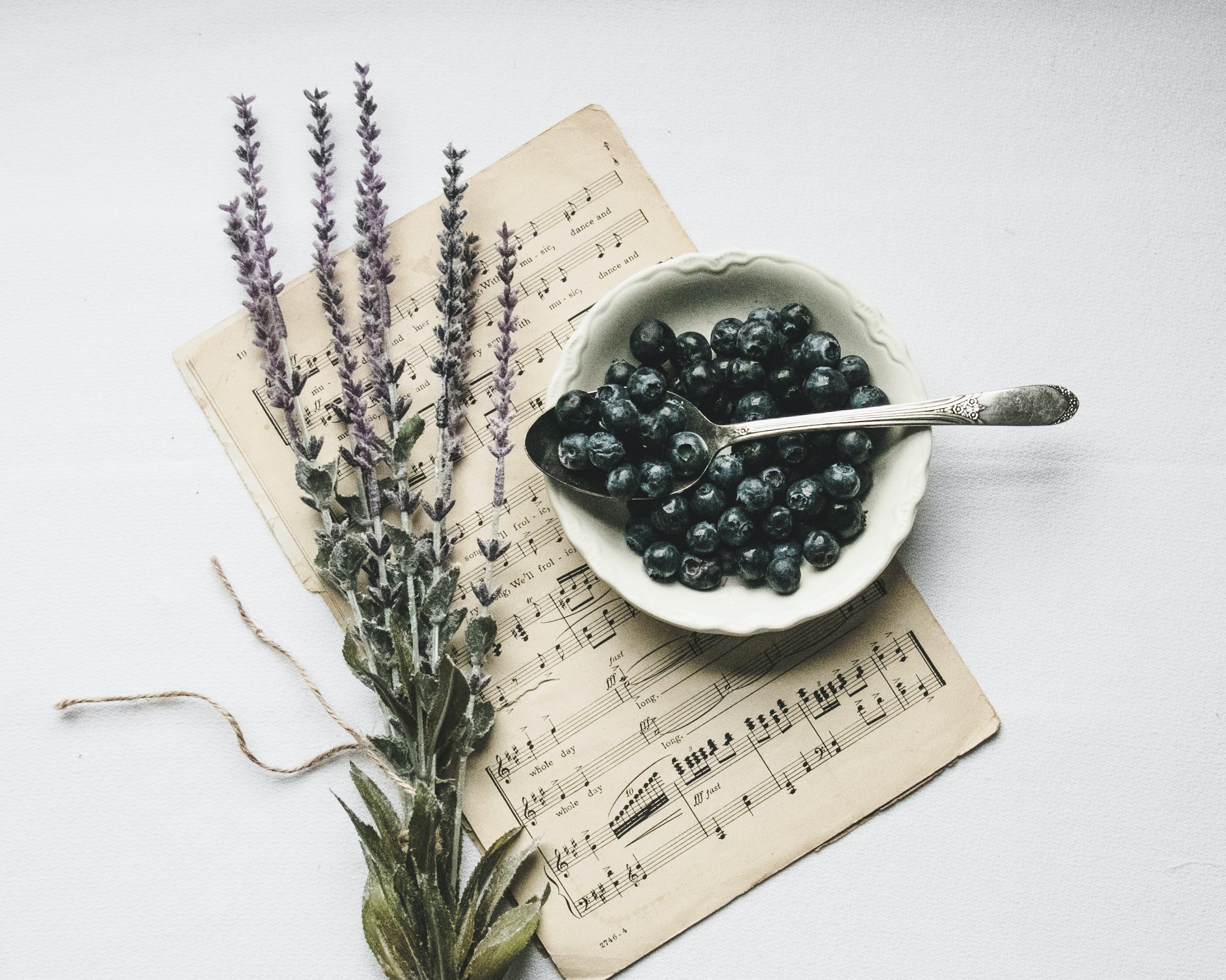 Blueberry-Lavender Yogurt Pops