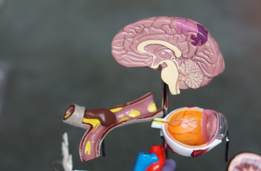 Mental Health Conditions and Leaky Brain
