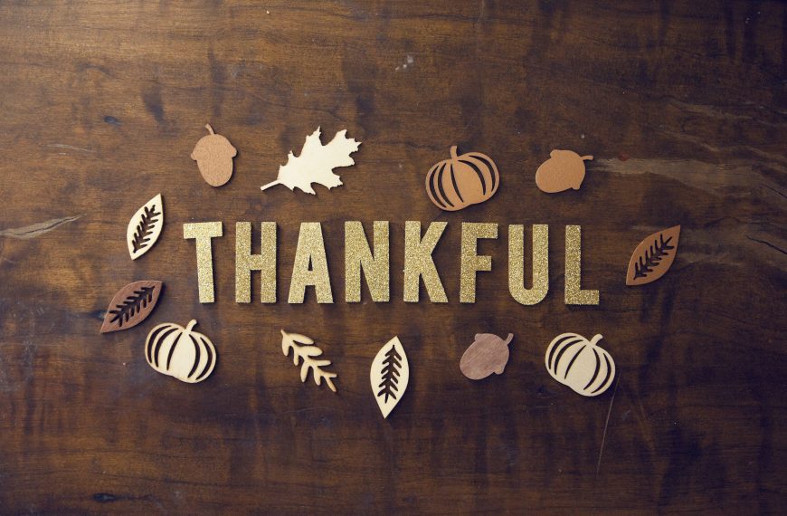 THANKSGIVING Tips and Tricks