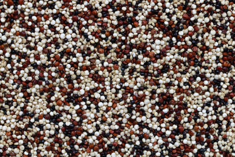 Cranberry Walnut Quinoa Salad